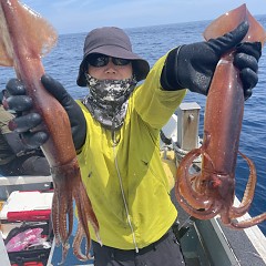 7月 14日（火）一日便・スルメイカ釣りの写真その4