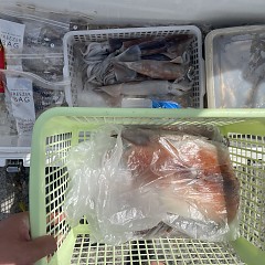 7月 14日（火）一日便・スルメイカ釣りの写真その11