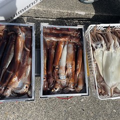 7月 14日（火）一日便・スルメイカ釣りの写真その12