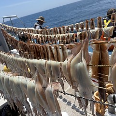 7月 15日（水）一日便・スルメイカ釣りの写真その6