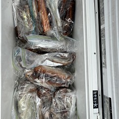 7月 17日(金)一日便・スルメイカ釣りの写真その6