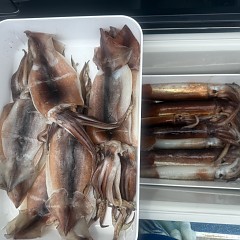 7月 17日(金)一日便・スルメイカ釣りの写真その12