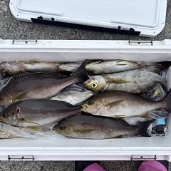 7月17日(金)午前便・午後便・イサキ釣りの写真その9