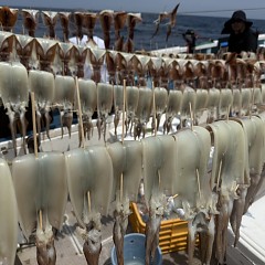 7月 18日(土)一日便・スルメイカ釣りの写真その5