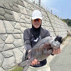 7月18日(土)午前便・イシダイ釣りの写真その3