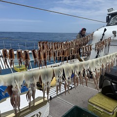 7月 19日(日)一日便・スルメイカ釣りの写真その9