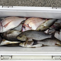 7月19日(日)午前便・午後便・イサキ釣りの写真その7