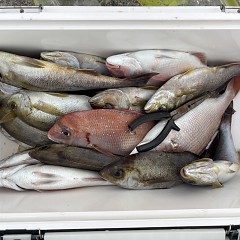7月19日(日)午前便・午後便・イサキ釣りの写真その10