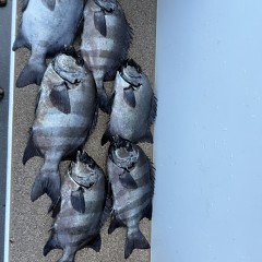 7月20日(月)午前便・イシダイ釣りの写真その8
