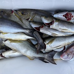 7月20日(月)午後便・イサキ釣りの写真その8