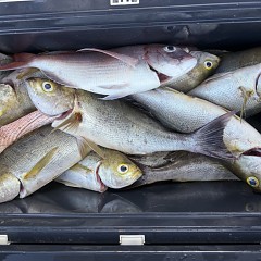 7月20日(月)午後便・イサキ釣りの写真その10