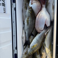 7月20日(月)午後便・イサキ釣りの写真その11
