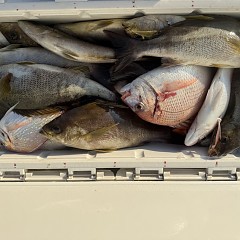 7月20日(月)午後便・イサキ釣りの写真その12