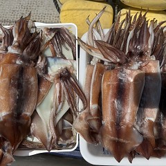 7月 21日（火）一日便・スルメイカ釣りの写真その9