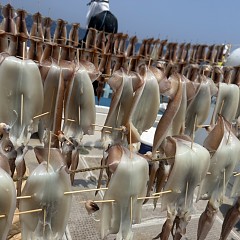 7月 22日（水）一日便・スルメイカ釣りの写真その4