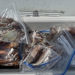 7月 22日（水）一日便・スルメイカ釣りの写真その12