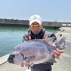 7月22日(水)午前便・イシダイ釣り・午後便・イサキ釣りの写真その3