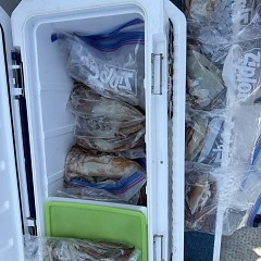 7月 23日（木）一日便・スルメイカ釣りの写真その5