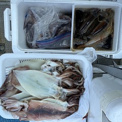 7月 23日（木）一日便・スルメイカ釣りの写真その7