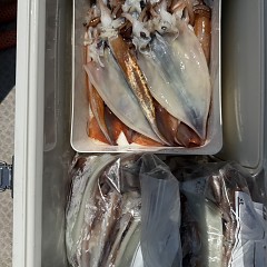 7月 23日（木）一日便・スルメイカ釣りの写真その11