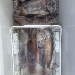 7月 24日（金）一日便・スルメイカ釣りの写真その7