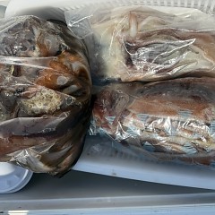 7月 24日（金）一日便・スルメイカ釣りの写真その8