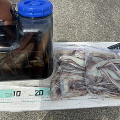 7月 26日（日）一日便・スルメイカ釣りの写真その4