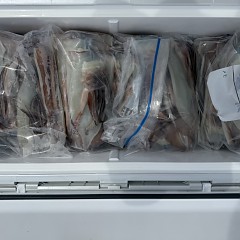 7月 26日（日）一日便・スルメイカ釣りの写真その6
