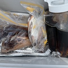 7月 26日（日）一日便・スルメイカ釣りの写真その9