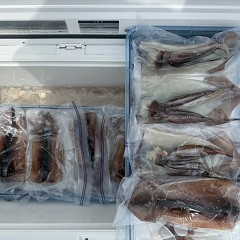 7月 26日（日）一日便・スルメイカ釣りの写真その10