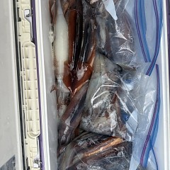 7月 27日（月）一日便・スルメイカ釣りの写真その8
