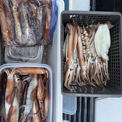 7月 29日（水）一日便・スルメイカ釣りの写真その6
