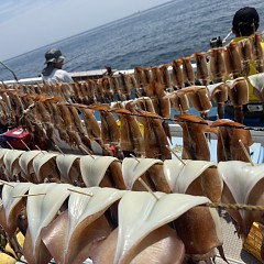 7月 30日（木）一日便・スルメイカ釣りの写真その5