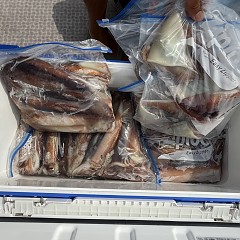 7月 30日（木）一日便・スルメイカ釣りの写真その10