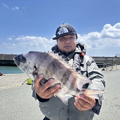 7月29日イシダイ釣りの写真その2