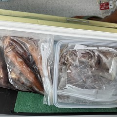 7月 31日(金)一日便・スルメイカ釣りの写真その8