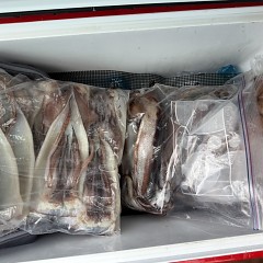 7月 31日(金)一日便・スルメイカ釣りの写真その9