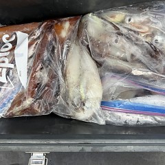 7月 31日(金)一日便・スルメイカ釣りの写真その10