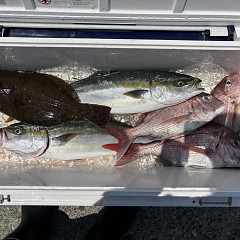 8月2日(日)午前便・タテ釣りの写真その8