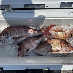 8月2日(日)午前便・タテ釣りの写真その9