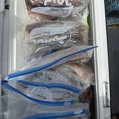 8月 1日（土）一日便・スルメイカ釣りの写真その8