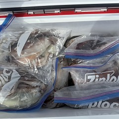 8月 1日（土）一日便・スルメイカ釣りの写真その9