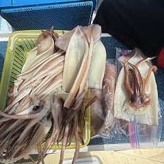 8月 1日（土）一日便・スルメイカ釣りの写真その10