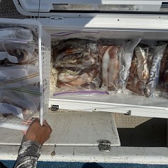 8月 2日(日)一日便・スルメイカ釣りの写真その11