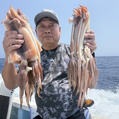 8月 3日(月)一日便・スルメイカ釣りの写真その1
