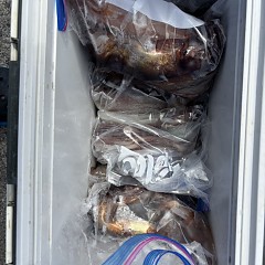 8月 4日(火)一日便・スルメイカ釣りの写真その9