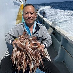 8月 8日(土)一日便・スルメイカ釣りの写真その3
