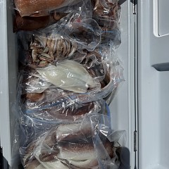 8月 8日(土)一日便・スルメイカ釣りの写真その9