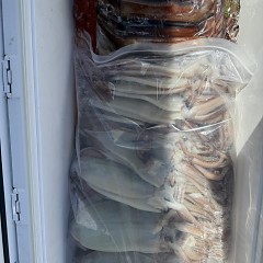 8月 8日(土)一日便・スルメイカ釣りの写真その8
