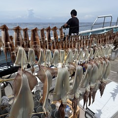 8月 9日（日）一日便・スルメイカ釣りの写真その5